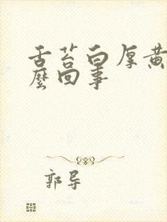 舌苔白厚黄是怎么回事