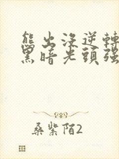 熊出没逆转时空黑暗光头强