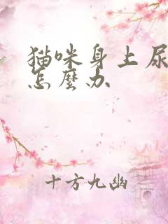 猫咪身上尿骚味怎么办