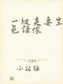 一级夫妻生活黄色录像