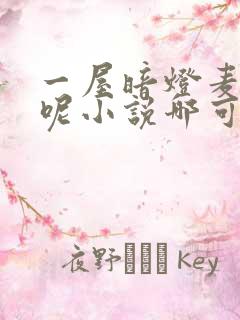 一屋暗灯麦香鸡呢小说哪可以找到