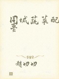 同城蔬菜配送平台