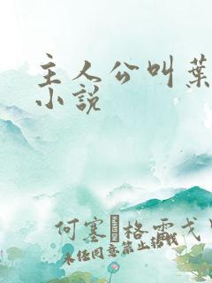 主人公叫叶凡的小说