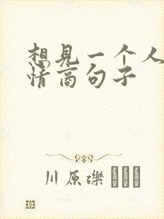 想见一个人的高情商句子