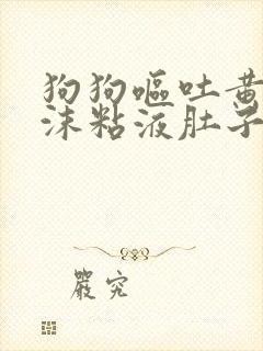 狗狗呕吐黄水泡沫粘液肚子咕噜响