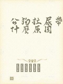 公狗拉尿带血是什么原因