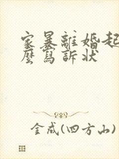 家暴离婚起诉怎么写诉状