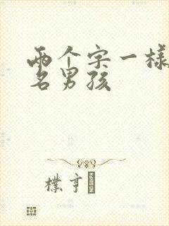 两个字一样的小名男孩