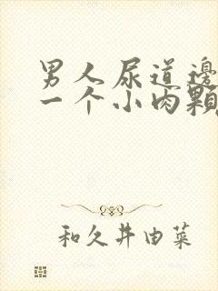 男人尿道边起了一个小肉颗粒