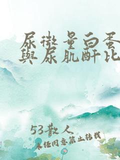 尿微量白蛋白高与尿肌酐比值