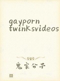 gayporntwinksvideos