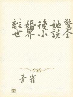 离婚后她惊艳了世界小说全集