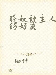 贱奴被主人调教的好爽