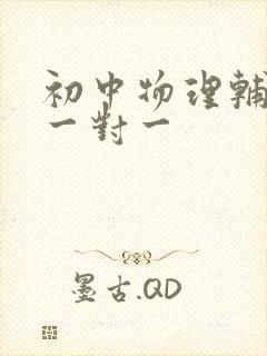 初中物理辅导,一对一