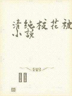 清纯校花被凌辱小说