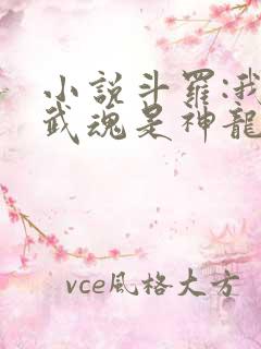 小说斗罗:我的武魂是神龙尊者完整版