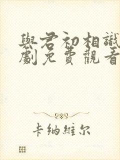 与君初相识电视剧免费观看40集