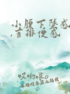 小腹下坠感胀痛,有排便感