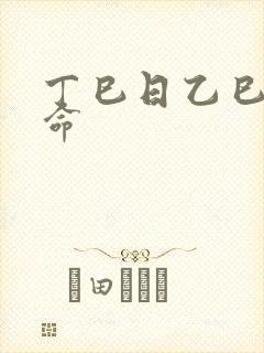 丁巳日乙巳时女命