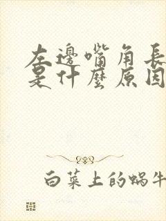 左边嘴角长痘痘是什么原因引起的