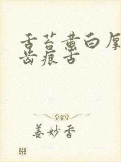 舌苔黄白厚腻有齿痕舌