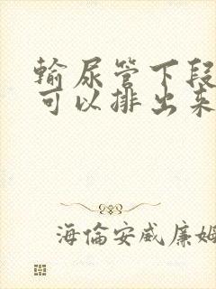 输尿管下段结石可以排出来吗