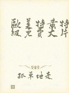 欧美特黄特色一级免费大片