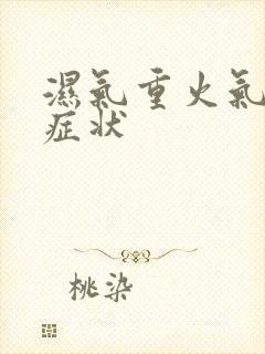 湿气重火气大的症状