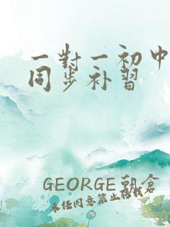 一对一初中物理同步补习