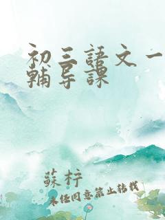 初三语文一对一辅导课