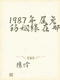 1987年属兔的姻缘在哪年