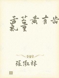 舌苔黄有齿痕湿气重