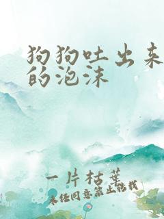 狗狗吐出来白色的泡沫