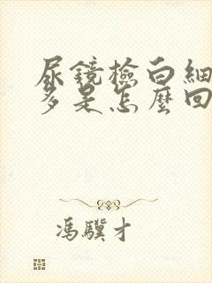 尿镜检白细胞增多是怎么回事