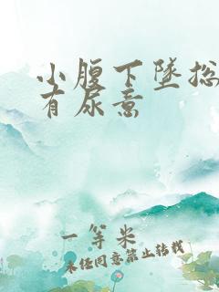 小腹下坠总感觉有尿意