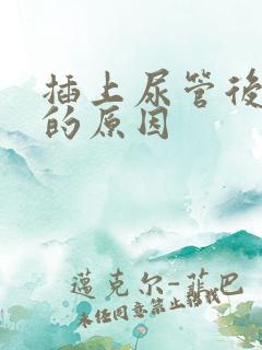 插上尿管后漏尿的原因