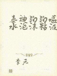 泰迪狗狗呕吐黄水泡沫粘液怎么办