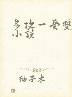 多攻一受双男主小说