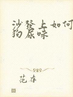 沙发上如何去除狗尿味