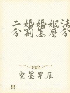 二婚婚姻法财产分割怎么分