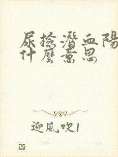 尿检潜血阳性是什么意思