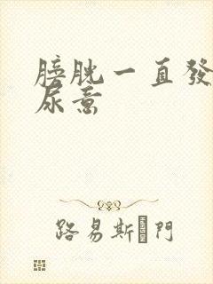 膀胱一直发胀有尿意