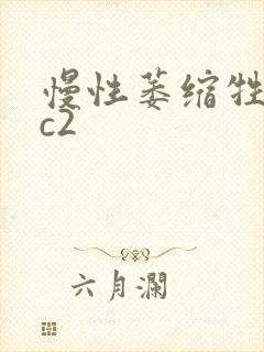 慢性萎缩牲胃炎c2