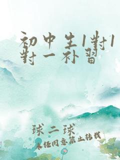 初中生1对1一对一补习