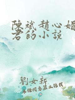 陈斌赵心媚高婉君的小说