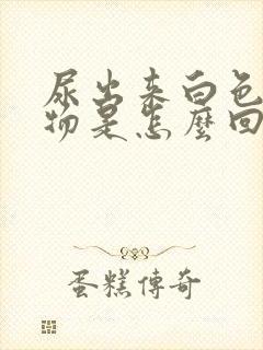 尿出来白色浑浊物是怎么回事