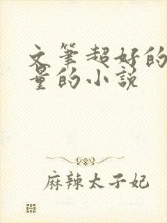 文笔超好的高质量的小说