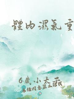 体内湿气重除湿