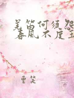 羌笛何须怨杨柳 春风不度玉门关修辞