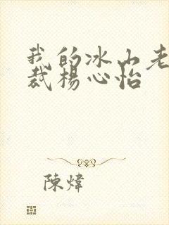 我的冰山老婆总裁杨心怡